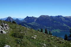 DSC09314