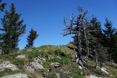 DSC09320