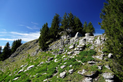 DSC09321