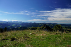 DSC09325