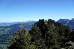 DSC09329