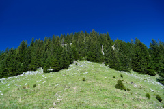 DSC09343
