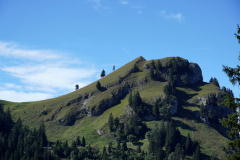 DSC09355
