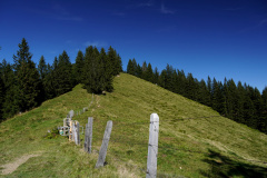 DSC09359