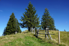 DSC09360