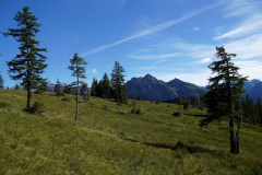 DSC09363