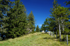 DSC09365