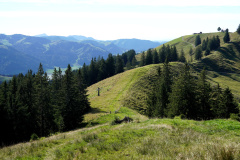 DSC09367