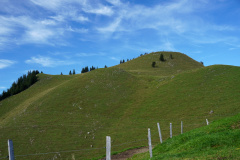 DSC09379