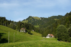 DSC09382