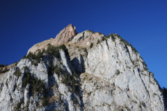 DSCN4007