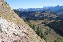 DSCN4011