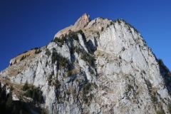 DSCN1845