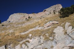 DSCN1847