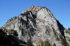 DSC09913