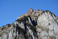 DSC09915
