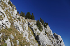 DSC09932