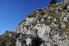 DSC09933