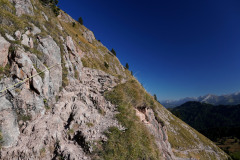 DSC09951