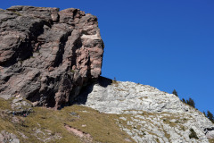 DSC09958