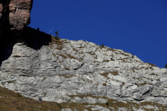 DSC09959