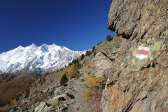 DSCN5392