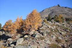 DSCN5396