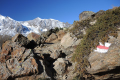 DSCN5400