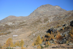 DSCN5411