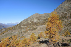 DSCN5414