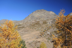DSCN5416