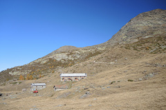 DSCN5418