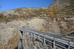 DSCN5420