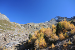 DSCN5422