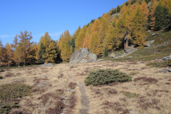 DSCN5426