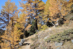 DSCN5428