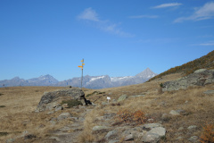 DSCN5430