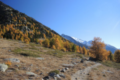 DSCN5431