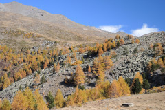 DSCN5436