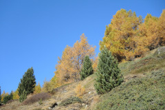 DSCN5440