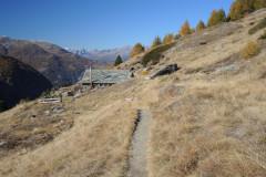 DSCN5441