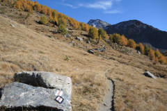 DSCN5442