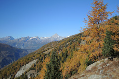 DSCN5445