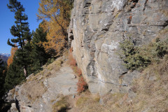 DSCN5446