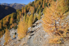 DSCN5447