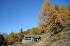 DSCN5448