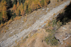 DSCN5449