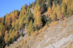 DSCN5451