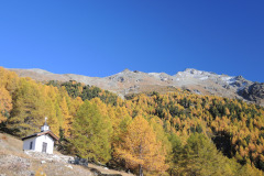 DSCN5454
