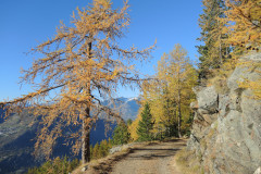 DSCN5455